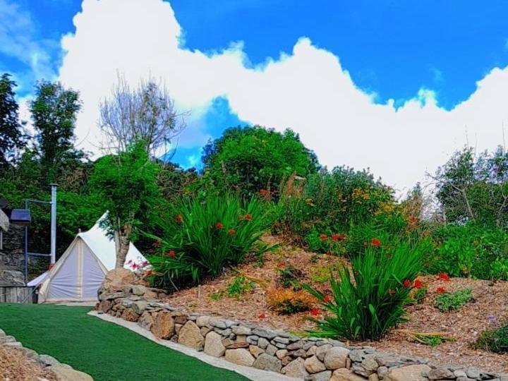 Fairy Cove At Rosemount Glamping *