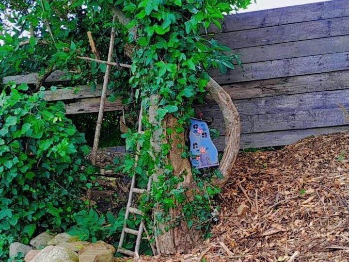 Fairy Cove At Rosemount Glamping Campo de lujo Carlingford